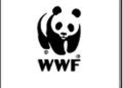 word wildlife fund